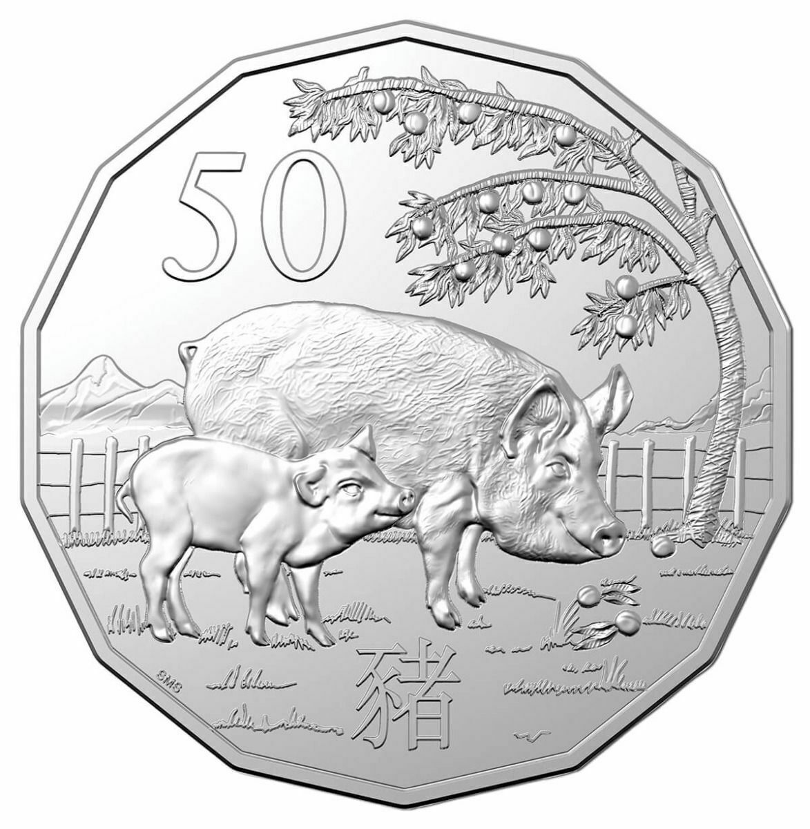 2012 - 2024 Royal Australian Mint Lunar Year 50c Tetradecagon 13 coin collection