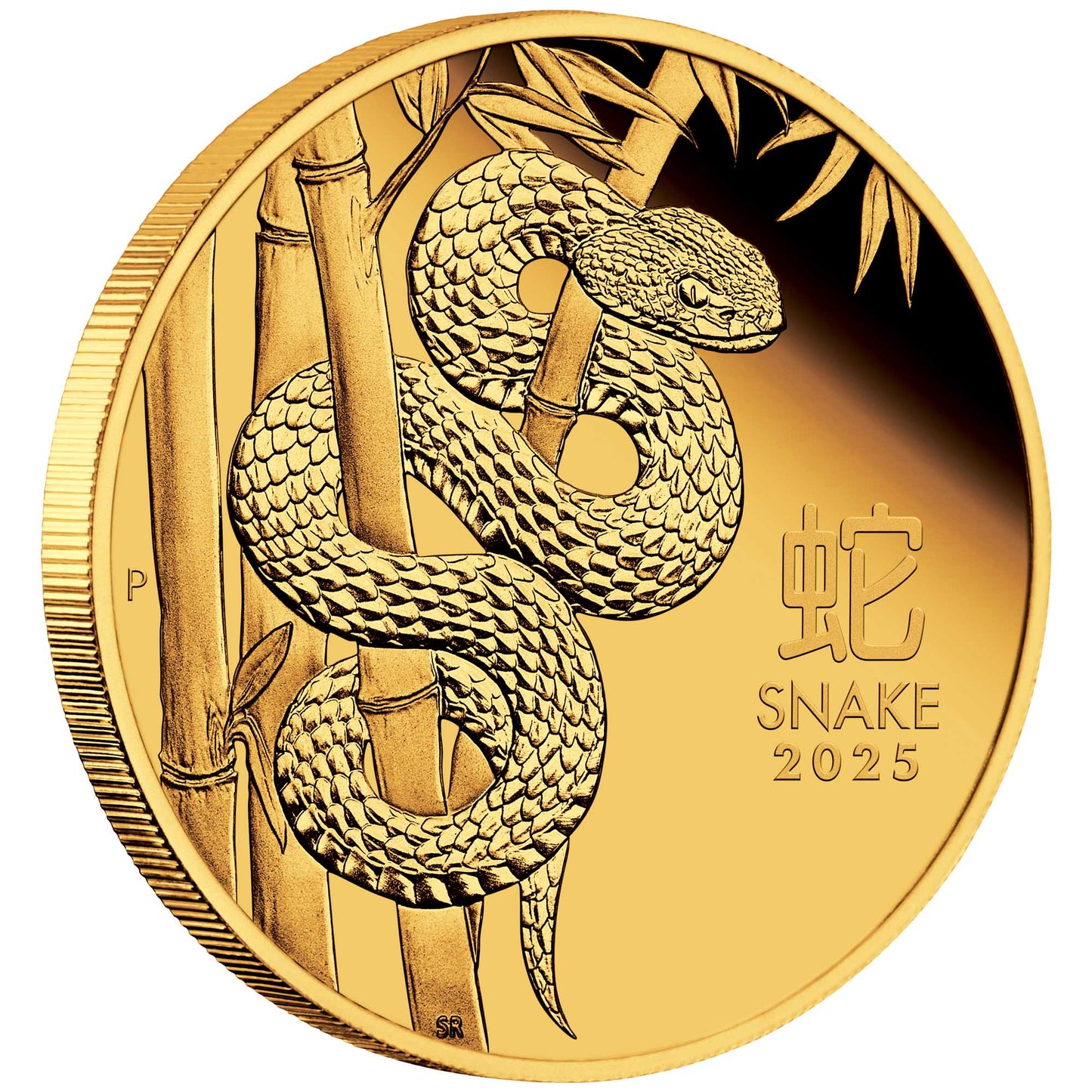 2025 Australian Lunar Series III Year of the Snake 1oz Gold Proof Coin