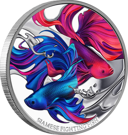 2024 Niue Siamese Fighting Fish 1oz Silver Proof Coin