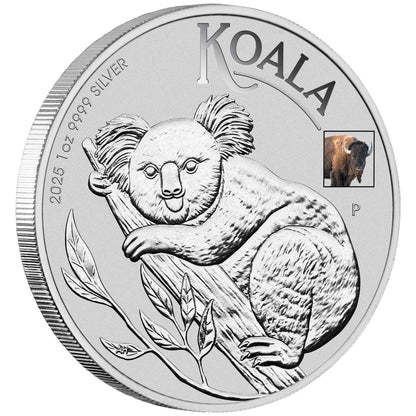 2025  ANA World's Fair Australian Koala 1oz Silver Coin with Bison Privy Mark