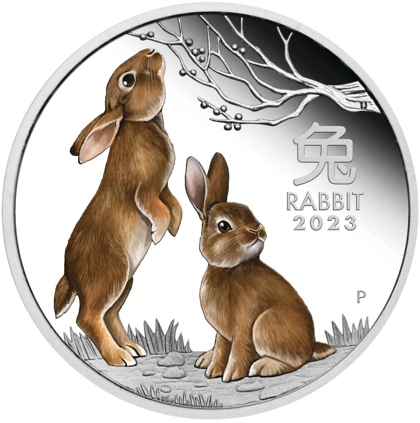 2023 PerthMint Series III Lunar year of the Rabbit Silver proof 1/2oz coloured coin