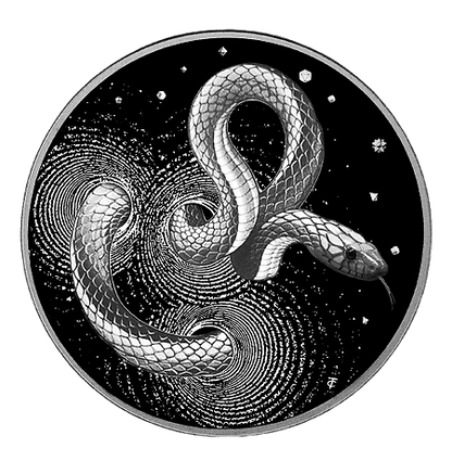 🐍2024 Cameroon Numiversum Series Snake 1oz Silver Proof High Relief Coin - Pre Order